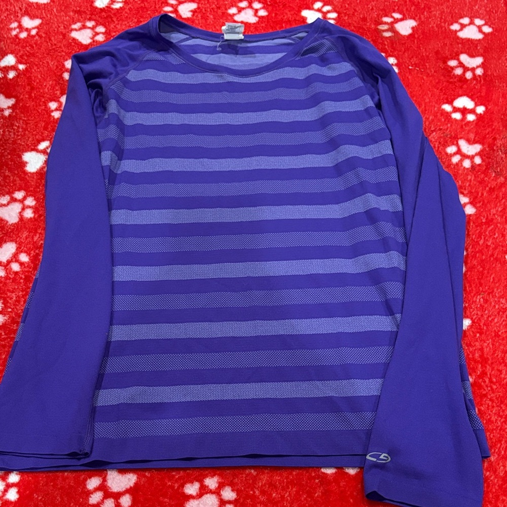Champion Purple Striped Long Sleeve Tee